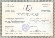 Сертификаты 0