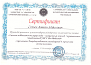 Сертификаты 31